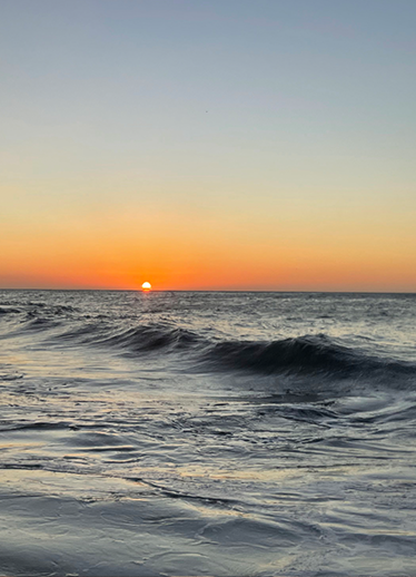 VISITA NUESTRA TIENDA